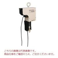 【直送品】 スリーエッチ H.H.H 電気チェーンブロック ES250kgX3m (ES250kg×3) | 工具屋さんYahoo!店