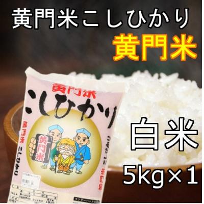 茨城 コシヒカリ 2㎏のおすすめ人気商品一覧 通販 - Yahoo!ショッピング