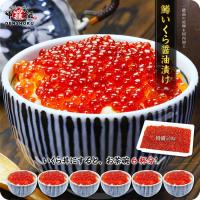 越前かに職人 甲羅組 paypayモール