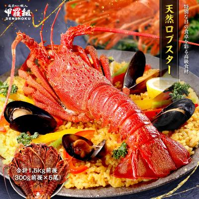 ロブスターのおすすめ人気商品一覧 通販 - Yahoo!ショッピング