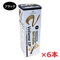 【6本セット】ボリュームアップヘアスプレー ブラック 200g×6本（薄毛隠しスプレー） | ヘルスケア　コヤマ