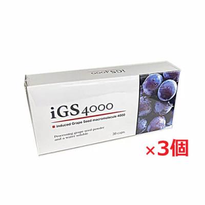 IGS 4000のおすすめ人気商品一覧 通販 - Yahoo!ショッピング