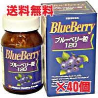 【40個セット】ブルーベリーエキス120　（180粒×40個） ミナミヘルシーフーズ | ヘルスケア　コヤマ
