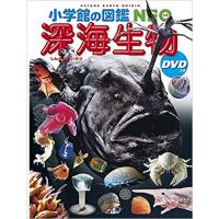 深海生物 DVDつき (小学館の図鑑NEO) | 柏の葉 蔦屋書店 ヤフー店