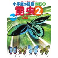 昆虫２ 地球編 DVDつき (小学館の図鑑NEO) | 柏の葉 蔦屋書店 ヤフー店