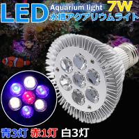 即日発送 水槽照明 アクアリウムライト サンゴ 海水魚 Ledライト 7w E26口金 青3 白4灯 熱帯魚 海水魚 水草 植物育成 海水 スポットライト 電気 送料無料 Ky004 Aqa Wellvie 通販 Yahoo ショッピング