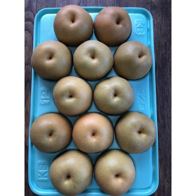 贈答用 超特大 豊水梨 8玉入り 5kg ✖️3箱 楽天市場】梨（総個数12 ～ 23個入り）（食品）の通販
