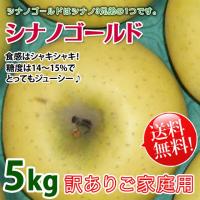 シナノゴールド 長野りんご -訳あり 送料無料-  家庭用約 約5kg 