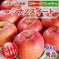 シナノスイート リンゴ 「スマートフレッシュ」貯蔵りんご 長野 5kg 秀品 送料無料 