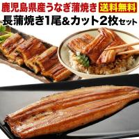 うなぎ 蒲焼き 国産  ギフト 鹿児島産ブランド鰻「うなぎの里」極上蒲焼き風呂敷包み「特」セット〔特大蒲焼き1本＆きざみ蒲焼き2食〕 グルメ 