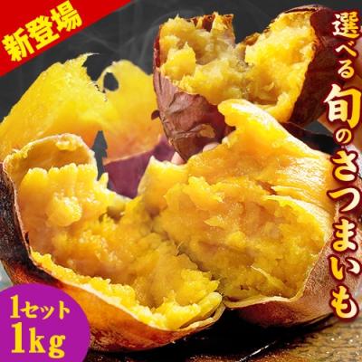 安納芋 苗の商品一覧 通販 - Yahoo!ショッピング