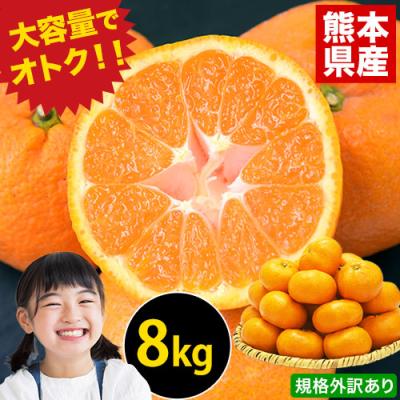ご当地風土 ヤフー店 - みかん｜Yahoo!ショッピング