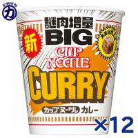 【日清食品】CUP NOODLE BIG カップヌードル カレー ビッグ 121g×12個【送料別】 | くまの中谷商店