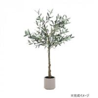 不二貿易 C/D:28054 フェイクグリーン オリーブ 120cm ジョイント | 熊取屋