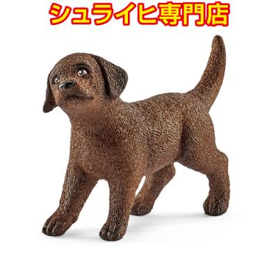 シュライヒ動物フィギュアセット（スワン、猫、犬など） シュライヒ 動物フィギュア9体セット Schleich - メルカリ