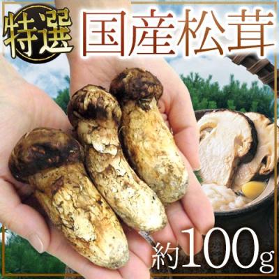 松茸 1kg（都道府県で探す：長野県）の商品一覧 通販 - Yahoo!ショッピング