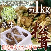 【緊急スポット】中国産 ”松茸” 約1kg 原体 大きさおまかせ ちょっと訳あり 