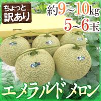 メロン 高知県夜須産 ”エメラルドメロン” ちょっと訳あり 大玉 5〜6玉