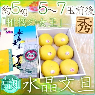 特選　文旦　10kg 02 送料込】土佐文旦特選秀品 L～2L中玉混合約10kg | 白木果樹園