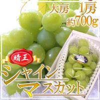 岡山産 ”シャインマスカット「晴王」” 大房 1房 約700g 化粧箱 