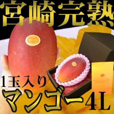 宮崎マンゴー4lの商品一覧 通販 - Yahoo!ショッピング