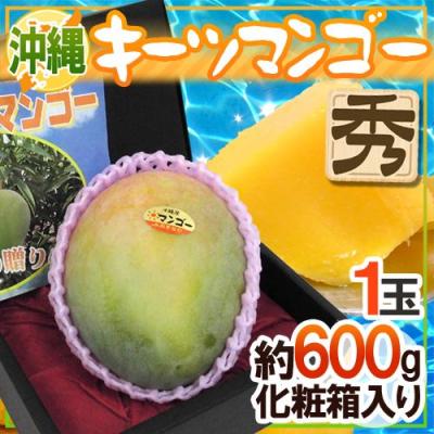 くらし快援隊 - 国産マンゴー｜Yahoo!ショッピング