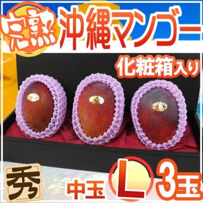 くらし快援隊 - 国産マンゴー｜Yahoo!ショッピング
