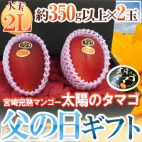 遅れてごめんね！父の日ギフト ”太陽のタマゴ” 大玉2Lサイズ 2玉 化粧箱  送料無料 