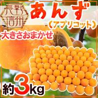 あんず 2キロ 生食/加工用 信州産 その時期旬の品種をお届けします ... あんず 2キロ 生食/加工用 信州産 その時期旬の品種をお届けします ...