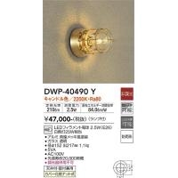 安心のメーカー保証 【送料無料】【インボイス対応店】大光電機照明器具 ポーチライト DWP-40490Y LED≪即日発送対応可能 在庫確認必要≫ | 暮らしの照明