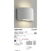遠藤照明 屋外灯 ポールライト RL-842H (灯体・キャップ別売 遠藤照明 屋外灯 ポールライト RL-842H (灯体・キャップ別売