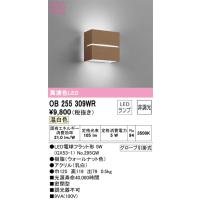安心のメーカー保証 オーデリック照明器具 ブラケット 一般形 OB255309WR （ランプ別梱包）『OB255309#＋NO295GW』  LED Ｔ区分 | 暮らしの照明