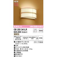 【インボイス対応店】オーデリック照明器具 ブラケット OB255341LR （ランプ別梱包）『OB255341#＋NO295GL』  LED | 暮らしの照明
