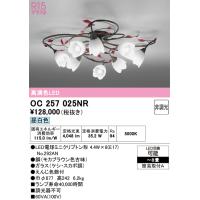 安心のメーカー保証 オーデリック照明器具 シャンデリア OC257025NR （ランプ別梱包）『OC257025#＋NO292AN×8』  LED Ｎ区分 | 暮らしの照明