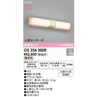 安心のメーカー保証 【インボイス対応店】オーデリック照明器具 ポーチライト OG254500R （人感センサー別売）  LED  実績20年の老舗 | 暮らしの照明