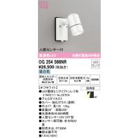 オーデリック照明器具 屋外灯 スポットライト OG254566NR （ランプ別梱包）『OG254566#＋NO257EN』  LED Ｎ区分 | 暮らしの照明