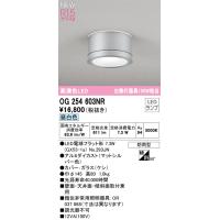 【インボイス対応店】オーデリック照明器具 ポーチライト OG254603NR （ランプ別梱包）『OG254603#＋NO293JN』  LED | 暮らしの照明