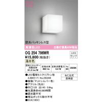 安心のメーカー保証 オーデリック照明器具 ポーチライト OG254796WR （ランプ別梱包）『OG254796#＋NO292AW』  LED Ｔ区分 | 暮らしの照明