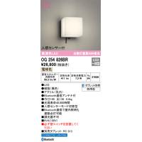 安心のメーカー保証 オーデリック照明器具 ポーチライト OG254826BR  LED Ｔ区分 実績20年の老舗 | 暮らしの照明