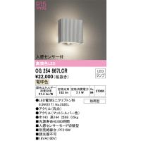 安心のメーカー保証 オーデリック照明器具 ポーチライト OG254867LCR （ランプ別梱包）『OG254867#＋NO292EL』  LED Ｔ区分 | 暮らしの照明
