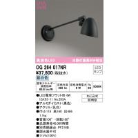 安心のメーカー保証 オーデリック照明器具 ポーチライト OG264017NR （ランプ別梱包）『OG264017#＋NO293A』  LED Ｔ区分 | 暮らしの照明