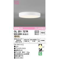 安心のメーカー保証 【インボイス対応店】オーデリック照明器具 シーリングライト OL251727R  LED 期間限定特価  実績20年の老舗 | 暮らしの照明