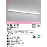 安心のメーカー保証 【インボイス対応店】オーデリック照明器具 ブラケット 一般形 OL251873R  LED  実績20年の老舗 | 暮らしの照明