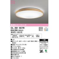 安心のメーカー保証 【インボイス対応店】オーデリック照明器具 シーリングライト OL291557R  リモコン付 LED 期間限定特価  実績20年の老舗 | 暮らしの照明