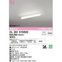 オーデリック照明器具 ベースライト 配線ダクト用 OL291575R2E （光源ユニット別梱包）『OL291575#＋UN6302RE』  LED Ｔ区分 | 暮らしの照明
