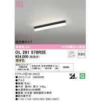 オーデリック照明器具 ベースライト 配線ダクト用 OL291578R2E （光源ユニット別梱包）『OL291578#＋UN6302RE』  LED Ｔ区分 | 暮らしの照明