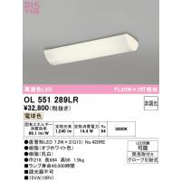 安心のメーカー保証 オーデリック照明器具 キッチンライト OL551289LR （ランプ別梱包）『OL551289#Y＋NO420RE×2』  LED Ｔ区分 | 暮らしの照明