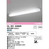 【インボイス対応店】オーデリック照明器具 キッチンライト OL551339NR （ランプ別梱包）『OL551339#Y＋NO440RB』  LED | 暮らしの照明