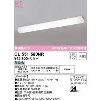オーデリック照明器具 ブラケット 一般形 OL551580NR （ランプ別梱包）『OL551580#Y＋NO441RB×2』  LED 期間限定特価 | 暮らしの照明