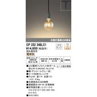 オーデリック照明器具 ペンダント 配線ダクト用 OP252348LC1 （ランプ別梱包）『OP252348#＋NO271E』  LED Ｔ区分 | 暮らしの照明